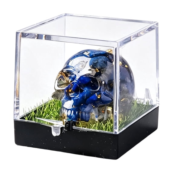 Yhmxh Halloween Decorations Mini Resin Skull Figurine with Clear Box, Gothic Small Skull Statue Desktop Ornament, Spooky Halloween Tabletop Decorations, Halloween Gift for Home Shelf Desk Decor