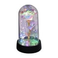 thumbnail image 1 of Yhmxh Mothe'rs Day Preserved Roses, LED Stars Light Forever Eternal Crystal Flower Light Up Rose in Plastic Dome, Mother's Day Flowers Gifts for Mom Women Grandma Wife Her, Eternal Rose Gifts, 1 of 5