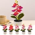 thumbnail image 1 of Yhmxh Phalaenopsis Bonsai Potted, Red Pink Fake Orchids Flowers in Pot Faux Orchids Artificial Flowers Washable Silk Orchid Phalaenopsis Decor for Home Wedding Table Centerpiece Bathroom Office, 1 of 7