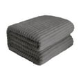 thumbnail image 1 of YiJuHui 2pcs Soft Plush Fleece Blanket for Adults - Ultra Warm & Cozy Double Layer Raschel Throw for Bed, Sofa, Couch, and Home Decor 200*150cm, 1 of 6