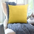 thumbnail image 1 of YiJuHui 3 PC Velvet Pillow Covers Decorative Throw Pillows Soft Luxury Cushion Covers for Sofa Bed Living Room Bedroom Home Decor 40*40cm, 1 of 6