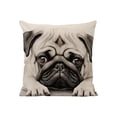thumbnail image 1 of YiJuHui 3pcs Cute Animal Print Pillow Cover Soft Nylon Spandex Decorative Throw Pillowcase for Sofa Bedroom Living Room Decor 45*45cm, 1 of 6