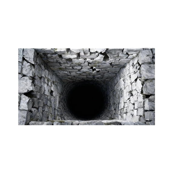 YiJuHui 3pcs Optical Illusion Rug, Realistic Rug That Looks Like a Hole, Soft 3D Optical Illusion Rug Optical Illusion for Entryway, Pets & Home Décor 40*60cm