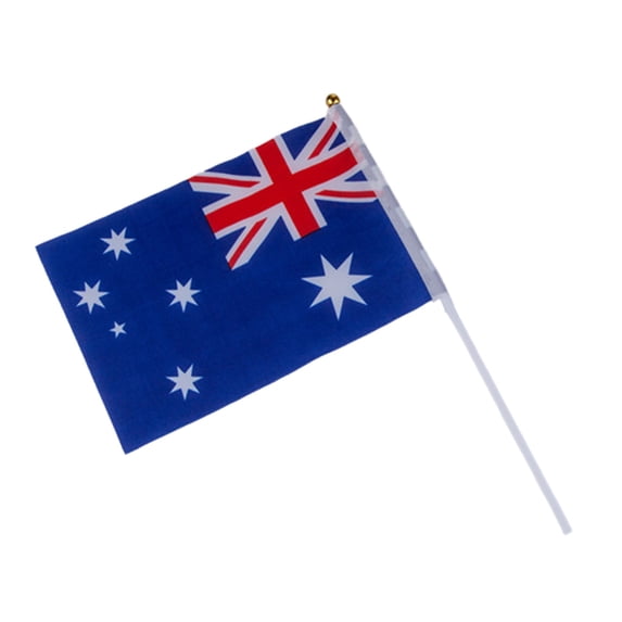 YiJuHui Mini Flag - Hand Held Small Miniature Flags on Stick - Fade Resistant & Vivid Colors - Solid Pole & Spear Top 21*14cm
