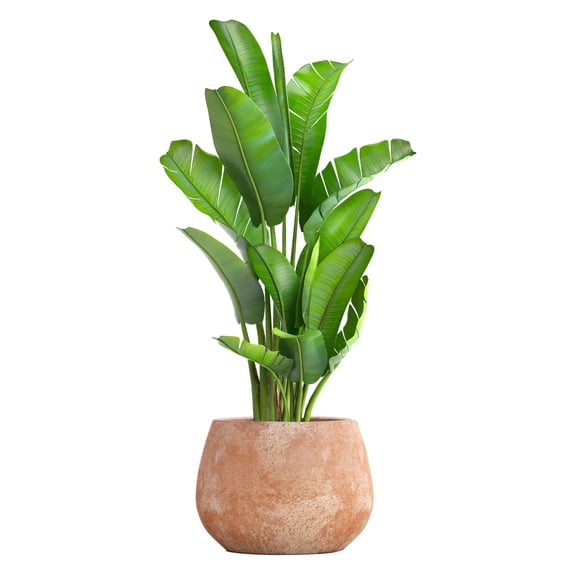 YiJuHui Tropical Green Rubber Stamps for Crafting, Turtle Leaf Nature-Themed Stickers, Reusable Clear Detail Stamp Set for Card Making, Scrapbooking, Journaling, and Projects