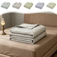 thumbnail image 1 of YiJuHui Ultra-Soft Summer Quilt, Lightweight Cooling Blanket - 59x78 in, Breathable & Durable, Suitable for Bed, Couch, Air Conditioning Room, Blue, 1 of 6