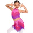 thumbnail image 1 of YiZYiF Kids Girls Latin Dance Dress Rhinestone Fringe Crop Top and Tassel Skirt Ballroom Tango Jazz Dance Outfit Hot Pink 16, 1 of 7