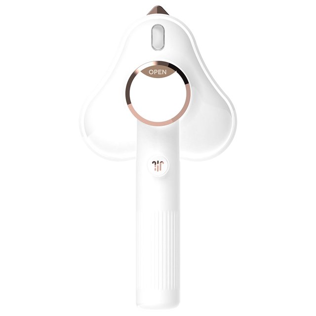 YiaNXan 1000W Handheld Garment Steamer 100ml Water Tank Mini Wet Dry Steam Iron Fast Heatup