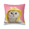 thumbnail image 1 of Yiaed A Funny Cat Print Pillow Covers Super Soft Decorative Square Throw Pillow Covers Case Cushion Covers for Sofa Couch Bedroom Car Decor（No pillow core）-16"x16", 1 of 7