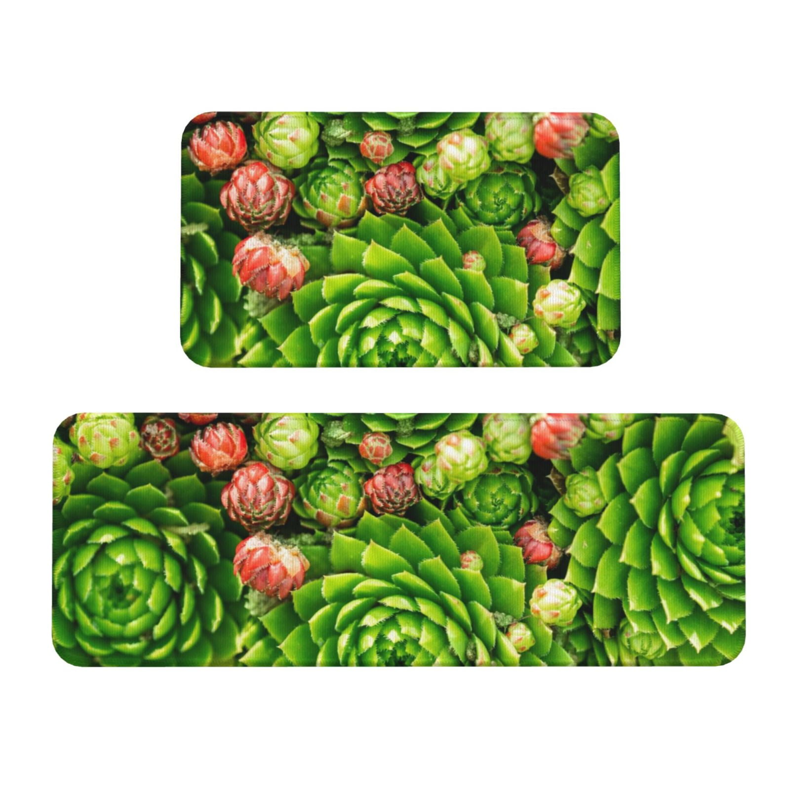 Cactus Spirit Kitchen Area Rug NCU0DK10926