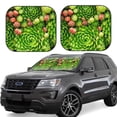 thumbnail image 1 of Yiaed Cactus And Succulents Print Car Front Windshield Sun Shade,Foldable Anti-UV Car Sunshade for Front Window for Most Vehicles-Medium, 1 of 5