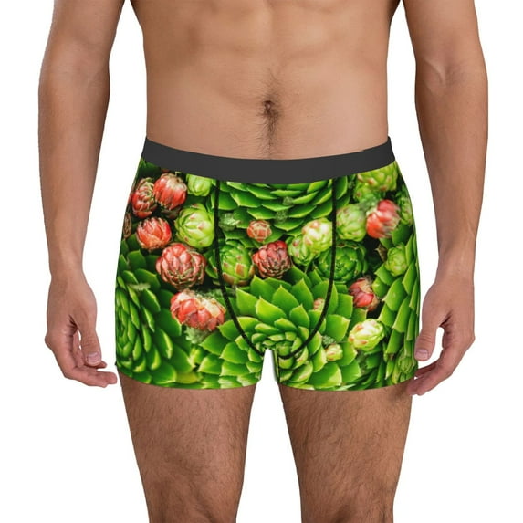 Yiaed Cactus And Succulents Print Men's Soft Cotton Boxer Shorts Breathable Boxers Underwear Moisture-Wicking Underwear Stretch Boxer Briefs for Man-X-Large