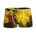 thumbnail image 1 of Yiaed Cactus Flowers Print Boys' Boxer Briefs Cotton Casual Stretch Comfort Boys Boxers - Kids Boxer Briefs Underwear for Boys (6-18)-Small, 1 of 5