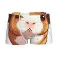 thumbnail image 1 of Yiaed Cartoon Guinea Pig Print Boys' Boxer Briefs Cotton Casual Stretch Comfort Boys Boxers - Kids Boxer Briefs Underwear for Boys (6-18)-X-Small, 1 of 5