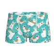 thumbnail image 1 of Yiaed Cartoon Llamas Print Boys' Boxer Briefs Cotton Casual Stretch Comfort Boys Boxers - Kids Boxer Briefs Underwear for Boys (6-18)-Small, 1 of 1