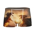 thumbnail image 1 of Yiaed Castle Cool Fire Dragon Print Boys' Boxer Briefs Cotton Casual Stretch Comfort Boys Boxers - Kids Boxer Briefs Underwear for Boys (6-18)-X-Small, 1 of 5