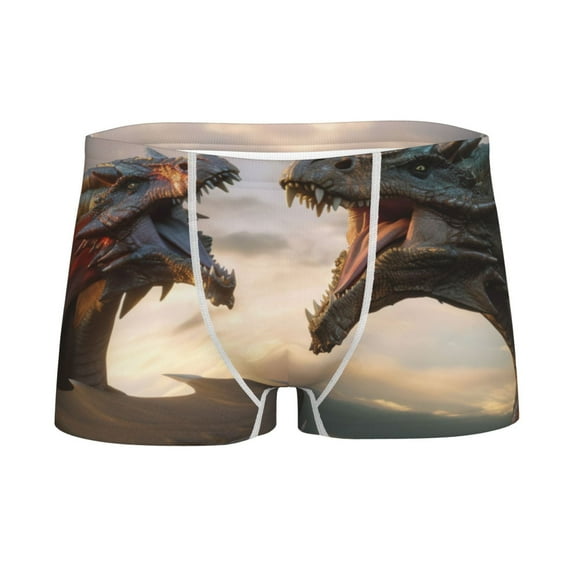 Yiaed Friendship Dragon Print Boys' Boxer Briefs Cotton Casual Stretch Comfort Boys Boxers - Kids Boxer Briefs Underwear for Boys (6-18)-X-Large