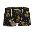 thumbnail image 1 of Yiaed Gold Glitter Pineapples Print Boys' Boxer Briefs Cotton Casual Stretch Comfort Boys Boxers - Kids Boxer Briefs Underwear for Boys (6-18)-X-Small, 1 of 5