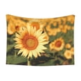 thumbnail image 1 of Yiaed Golden Sunflower In Field Print Dog Blankets-Cat Blanket Washable for Couch Protection,Puppy Blanket, Soft Plush Reversible Throw Furniture Protector-Large, 1 of 8