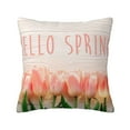 thumbnail image 1 of Yiaed Hello Spring Print Pillow Covers Super Soft Decorative Square Throw Pillow Covers Case Cushion Covers for Sofa Couch Bedroom Car Decor（No pillow core）-16"x16", 1 of 7