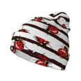 thumbnail image 1 of Yiaed Ladybugs on Black and White Striped1 Print Winter Beanie for Men Women, Fleece Lined Beanie Soft Warm Knit Hat Ski Stocking Cuffed Ca, 1 of 6