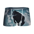 thumbnail image 1 of Yiaed Moon Wolf Warrior Print Boys' Boxer Briefs Cotton Casual Stretch Comfort Boys Boxers - Kids Boxer Briefs Underwear for Boys (6-18)-Small, 1 of 5