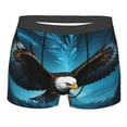 thumbnail image 1 of Yiaed Night Sky Forest Bald Eagle Print Men's Soft Cotton Boxer Shorts Breathable Boxers Underwear Moisture-Wicking Underwear Stretch Boxer Briefs for Man-X-Large, 1 of 1