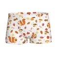 thumbnail image 1 of Yiaed Squirrel InThe Forest3 Print Boys' Boxer Briefs Cotton Casual Stretch Comfort Boys Boxers - Kids Boxer Briefs Underwear for Boys (6-18)-X-Large, 1 of 5