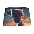 thumbnail image 1 of Yiaed Starry Sky Cloud Puppy Print Boys' Boxer Briefs Cotton Casual Stretch Comfort Boys Boxers - Kids Boxer Briefs Underwear for Boys (6-18)-X-Small, 1 of 5