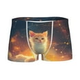 thumbnail image 1 of Yiaed Starry Sky Constellation Cat Print Boys' Boxer Briefs Cotton Casual Stretch Comfort Boys Boxers - Kids Boxer Briefs Underwear for Boys (6-18)-XX-Small, 1 of 5