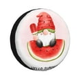 thumbnail image 1 of Yiaed Watermelon Gnome 标题-14 inch, 1 of 6