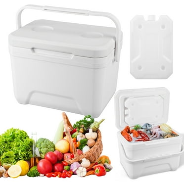 Yiaieng 6L Hard Insulated Cooler, Portable Hard Shell Cooler Lunch Box, Ice Chest Box with Heavy Duty Handle for Drink, Beverage, Fishing, Camping, Boating (White)