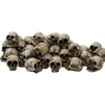 thumbnail image 1 of Yibooy 20Pcs Mini Skull Model Creative Halloween Mini Skull Heads Flower Pot Decoration, 1 of 9