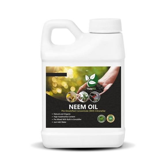 Yield RX Neem Oil with Citronella Pre-Emulsified Concentrate - Organic, High Azadirachtin Content, Ready-to-Use with Water (8 oz)