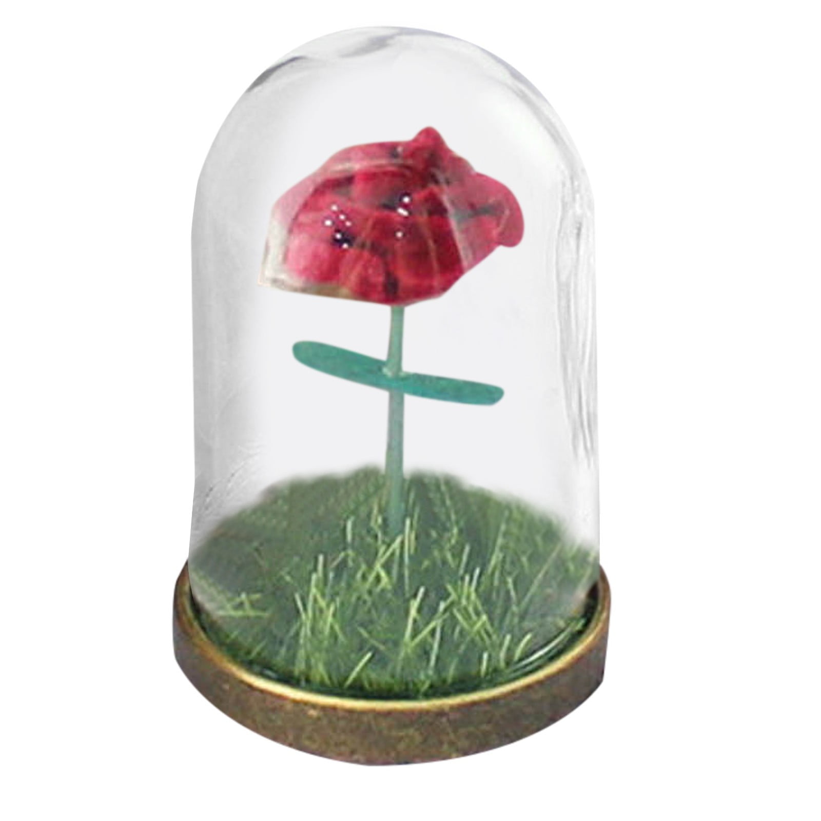 Yifang Flower With Glass Cover Decoration Forever Immortal Flower For