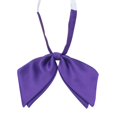 thumbnail image 1 of Yigetop Black Bow Tie Women's Double Layer Bow Tie Bow Flower New Featherless Root Japanese College Style Solid Color Bright Face Bow Tie Black Bow Choker Purple one Size, 1 of 3