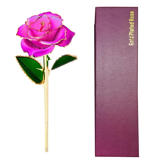 Yihuala 24K Plated Gold Dipped Rose Dried Flower with Box and Dispaly Stand Day Wedding Anniversary