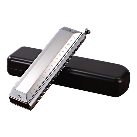 Yihuala Harmonica 16 Holes Harp 48 Tones Diatonic Harp for C Blues Mouth Organ Harp Early Education Music Trainin