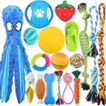 thumbnail image 1 of Yileqi 18 Pack Luxury Dog Chew Toys for Small Dogs Puppies, Premium Puppy Chew Toy Set with Ropes, Treat Ball, and Squeaky Toys for Teething Small Dogs, 1 of 7