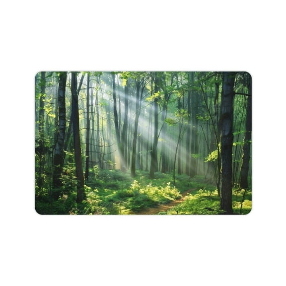 Yiluyinqing Diatom Mud Mats Non-Slip Sunbeams Trail Home Theme Quick Drying Absorbent Rubber Backing Technology Easy Storage Super Water Absorption 24x16in