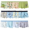 thumbnail image 1 of Yintry Boys Dinosaur Boxer Briefs Supersoft Cotton Underwear, 12 Pack, Sizes 2-12, 1 of 6