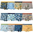 thumbnail image 1 of Yintry Boys Dinosaur Boxer Briefs Supersoft Cotton Underwear, 12 Pack, Sizes 2-12, 1 of 6