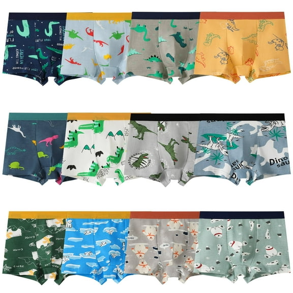 Yintry Boys Dinosaur Boxer Briefs Supersoft Cotton Underwear, 12 Pack, Sizes 2-12
