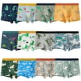 thumbnail image 1 of Yintry Boys Dinosaur Boxer Briefs Supersoft Cotton Underwear, 12 Pack, Sizes 2-12, 1 of 6