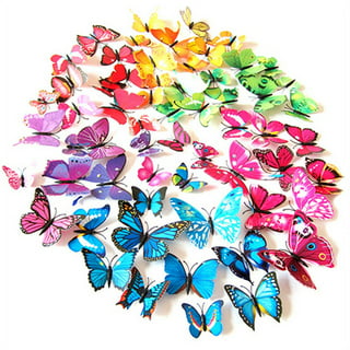 Thinp 72 Pcs Butterfly Cutouts Paper Butterfly Decorations Colorful Paper  Butterflies for Crafts Butterfly Shape Classroom Cutouts for Spring Summer  Theme School Party Butterfly Party Decorations : : Office Products
