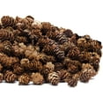 thumbnail image 1 of 1, 1 of 8