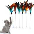 thumbnail image 1 of Yirtree Cat Feather Wands, 6 PCS Spring Cat Wands with Bell Sucker Cat Teaser Wands Interactive Cat Toys for Cat and Kitten, 1 of 8