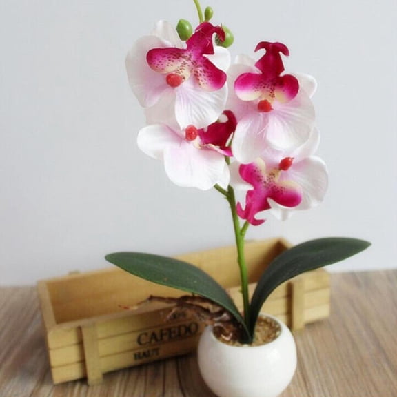 Yirtree Fake Orchid Assortment Mini Potted Orchid Plants with Wood Planter Box Artificial Phalaenopsis Orchid Flowers in Pots for Indoor Office Desk Room Kitchen Table Décor Centerpiece