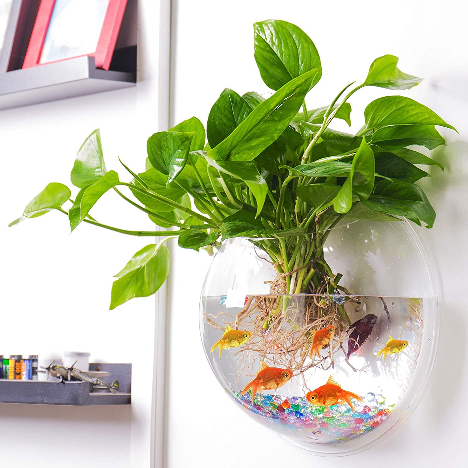 https://i5.walmartimages.com/seo/Yirtree-Hanging-Wall-Mounted-Fish-Bowl-Tank-Aquarium-Decor-Plant-Bubble-Clear-Acrylic-Creative-Flower-Pot-Home_1394feea-e36f-49bf-8ecd-065dd4c52c5f.7e93062c788d74aa41555466ccc8d53a.jpeg