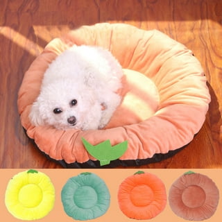 Fruit tart dog outlet bed